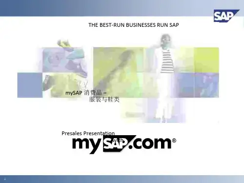 SAP服装行业解决方案1