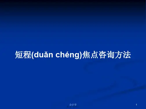 短程焦点咨询方法学习教案