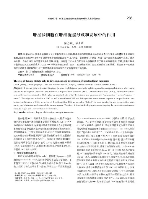 肝星状细胞在肝细胞癌形成和发展中的作用 陈启明