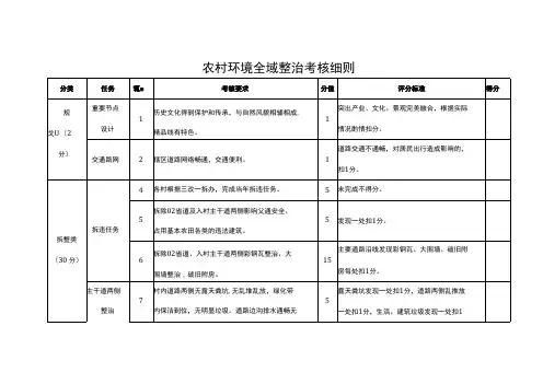 农村环境全域整治考核细则