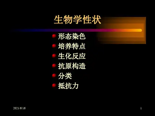 链球菌属PPT课件