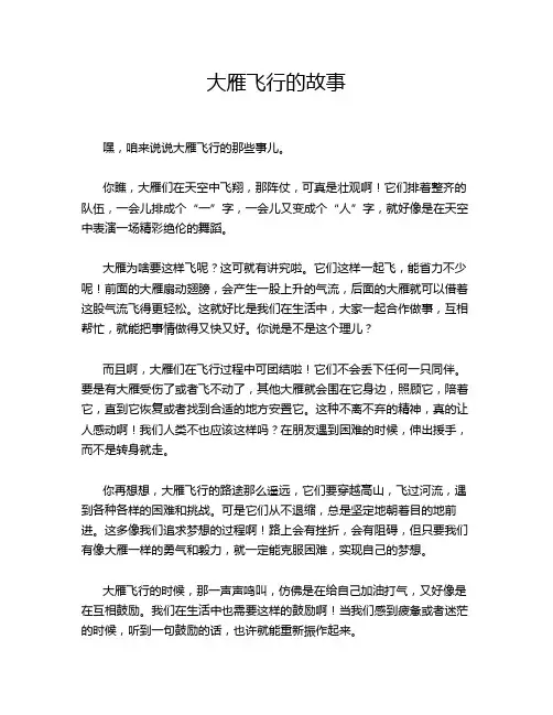 大雁飞行的故事