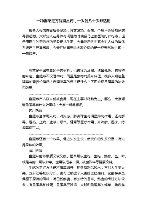 一种野菜是万能消炎药，一岁到八十岁都适用