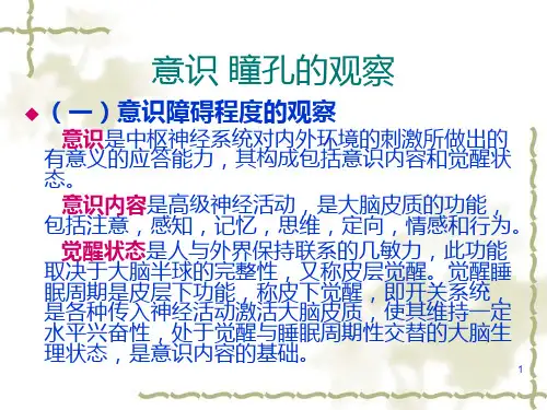 瞳孔意识PPT课件