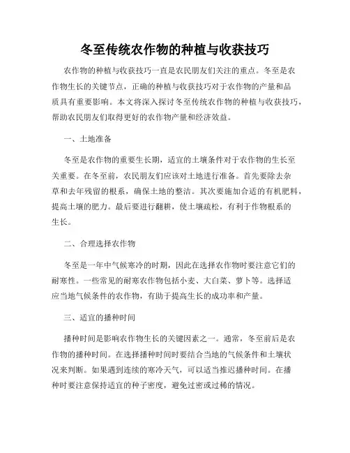 冬至传统农作物的种植与收获技巧