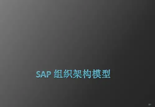 SAP系统分析ppt课件