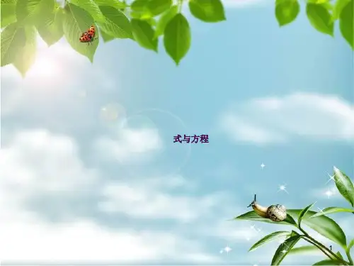 六年级数学总复习(式与方程)ppt课件