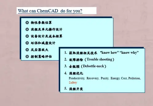 化工流程模拟软件-ChemCAD(精)