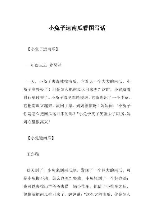 小兔子运南瓜看图写话