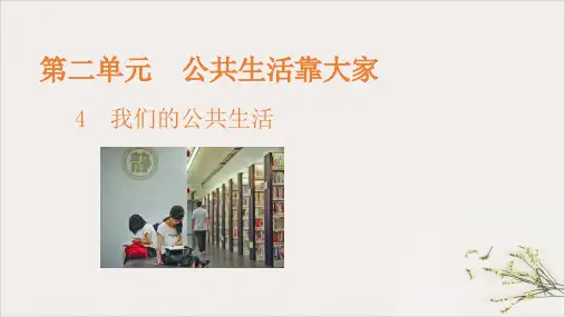《我们的公共生活》课件PPT部编版道德与法治61
