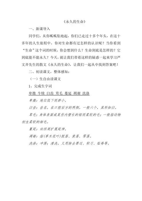 永久的生命  教案
