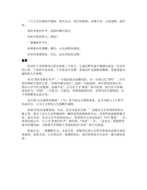 苏轼《定风波》诗词赏析