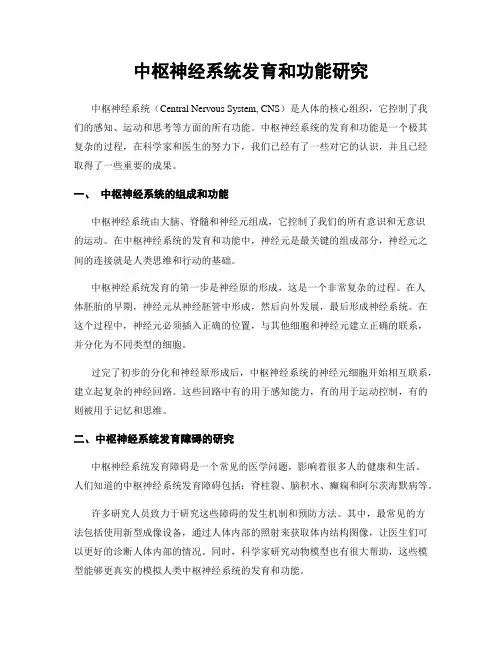 中枢神经系统发育和功能研究