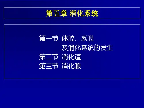 鱼类学05消化系统