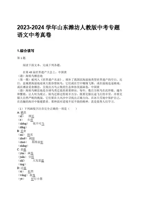 2023-2024学年山东潍坊人教版中考专题语文中考真卷习题及解析
