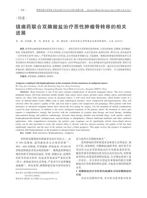 镇痛药联合双膦酸盐治疗恶性肿瘤骨转移的相关进展