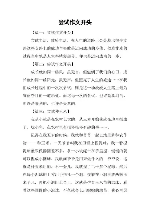 尝试作文开头