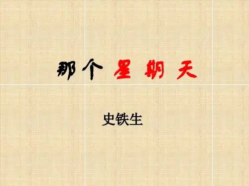 部编版六年级下册语文9那个星期天课件(共12张PPT)