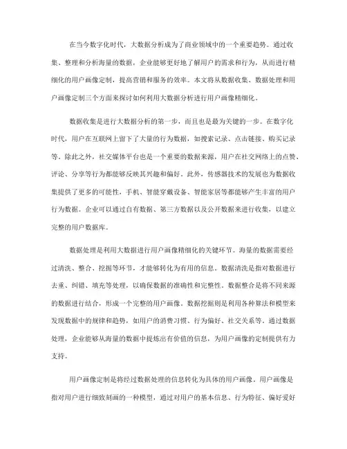 如何利用大数据分析进行用户画像精细化(九)