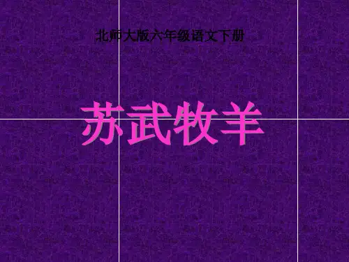 《苏武牧羊》PPT课件5