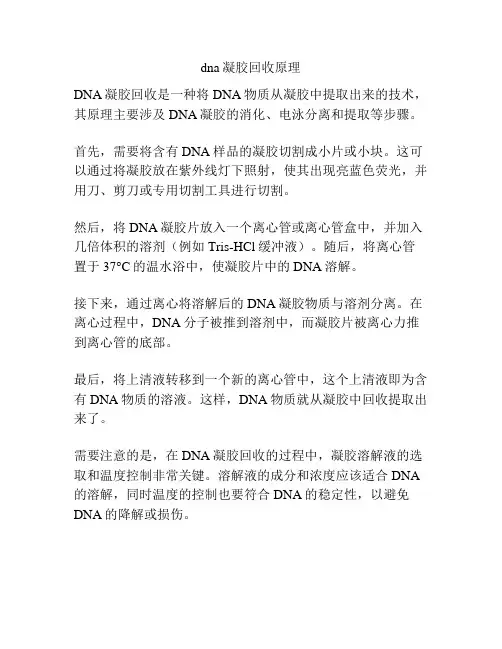 dna凝胶回收原理