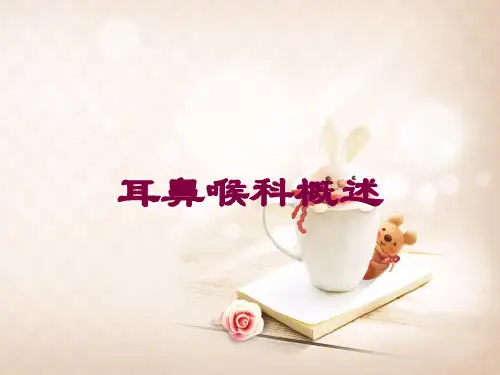 耳鼻喉科概述培训课件