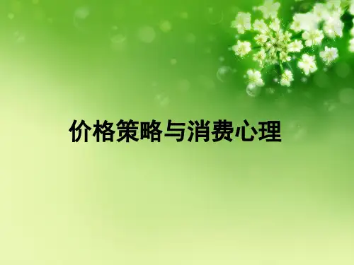 价格策略与消费心理