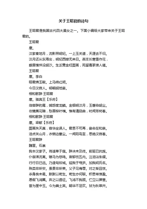 关于王昭君的诗句