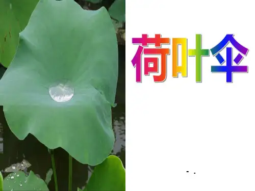 《荷叶伞》PPT课件