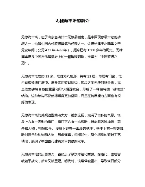 无棣海丰塔的简介