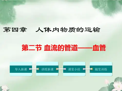 新版人教版七年级下册生物课件第二节 血流的管道——血管