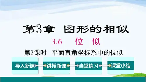 湘教版九上数学 第2课时 平面直角坐标系中的位似