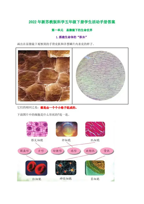 新苏教版科学五年级下册学生活动手册答案(精心整理版)