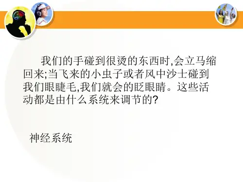 冀少版生物七年级下册：第四章. 第三节  信息的处理---神经调节的基本方式课件  (共29张PPT)