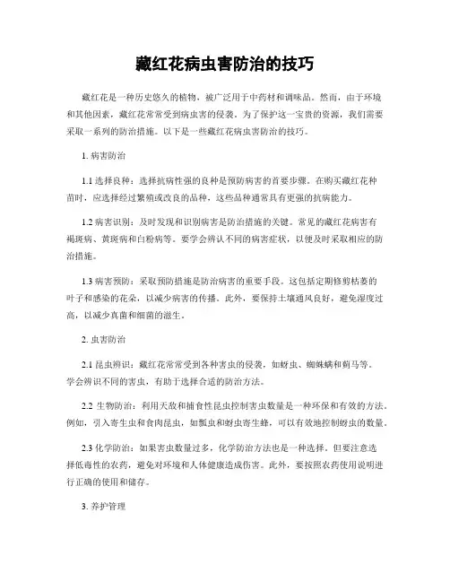 藏红花病虫害防治的技巧