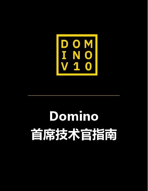 IBM Domino 首席技术官指南说明书