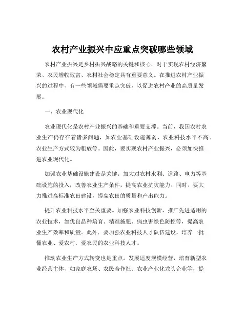 农村产业振兴中应重点突破哪些领域