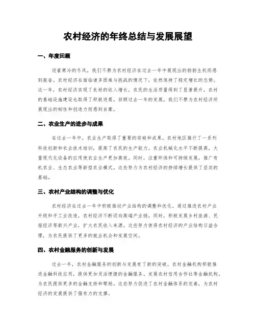 农村经济的年终总结与发展展望
