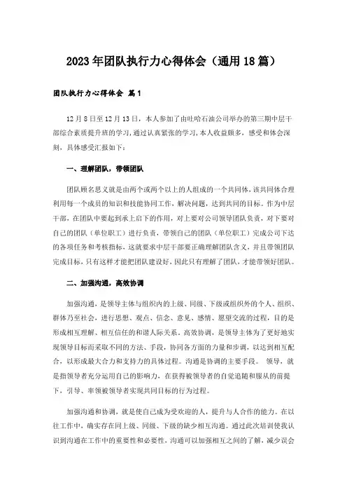 2023年团队执行力心得体会(通用18篇)