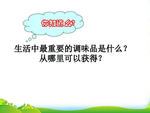 人教版高中化学必修一第四章第二节 富集在海水中的元素——氯课件(共25张PPT)