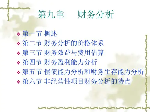 第九章 财务分析