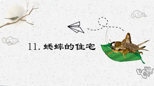 部编版语文四年级上册11蟋蟀的住宅课件(共15张PPT)