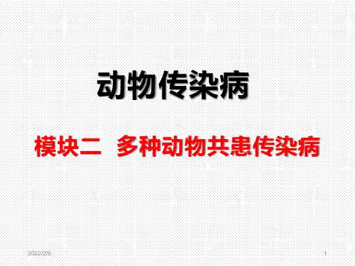 多种动物共患病(沙门氏菌病)