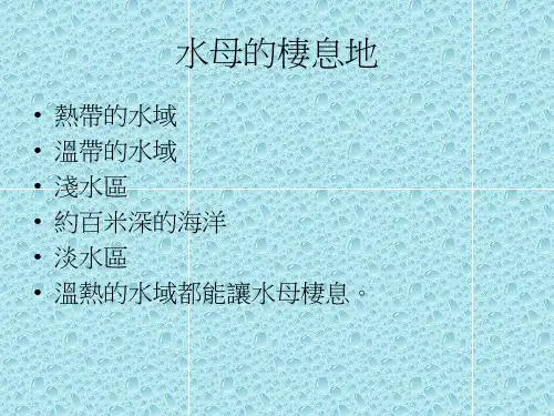 水母的介绍