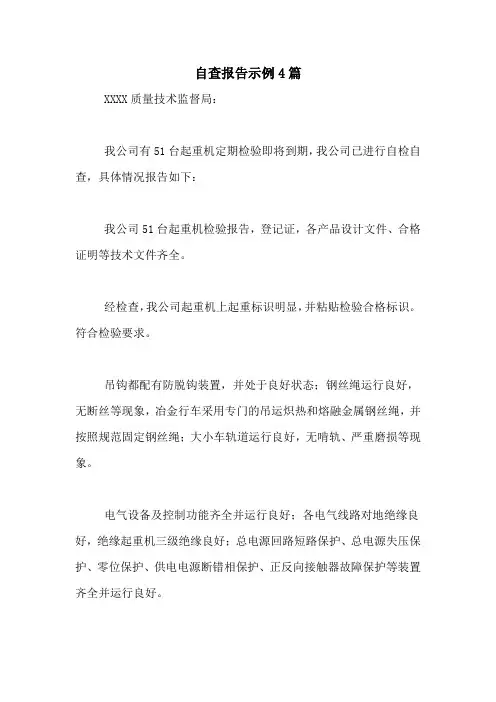 2021年自查报告示例4篇