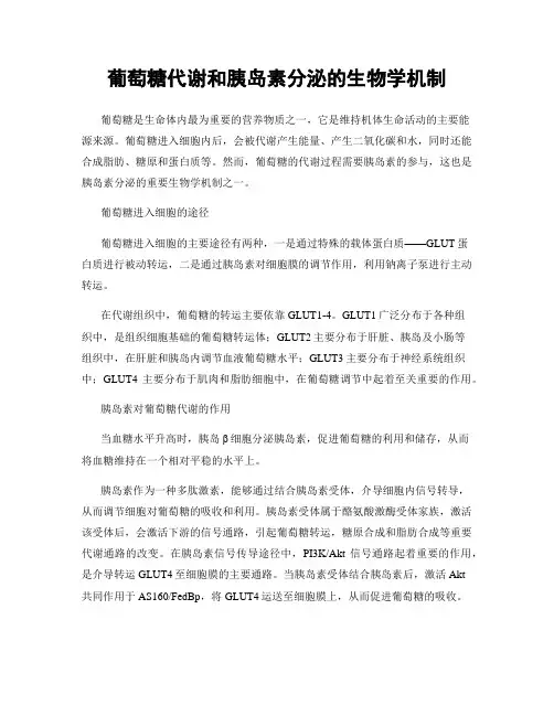 葡萄糖代谢和胰岛素分泌的生物学机制