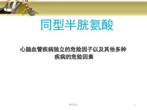 同型半胱氨酸PPT课件