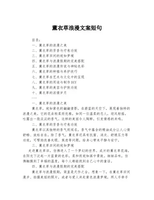薰衣草浪漫文案短句