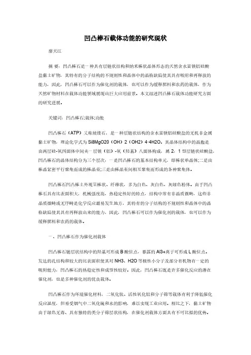凹凸棒石载体功能的研究现