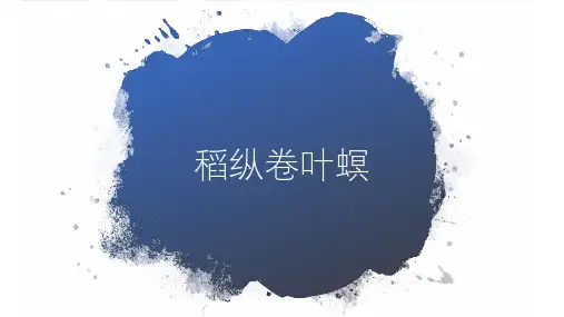 稻纵卷叶螟